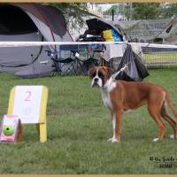 Nidia, RE Thionville 29.04.18 Classe Baby