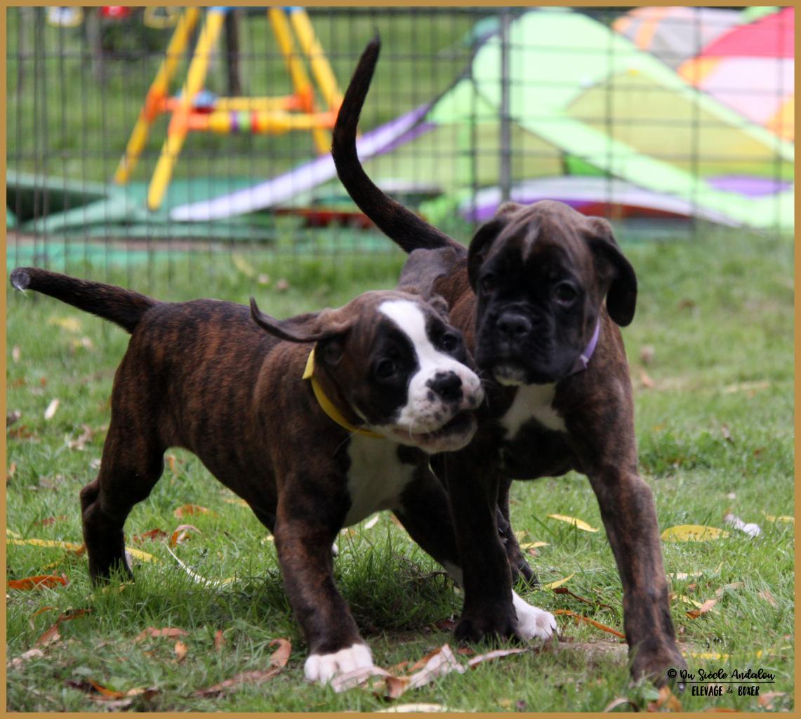 Nuts & Nero, 60 jours