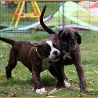 Nuts & Nero, 60 jours