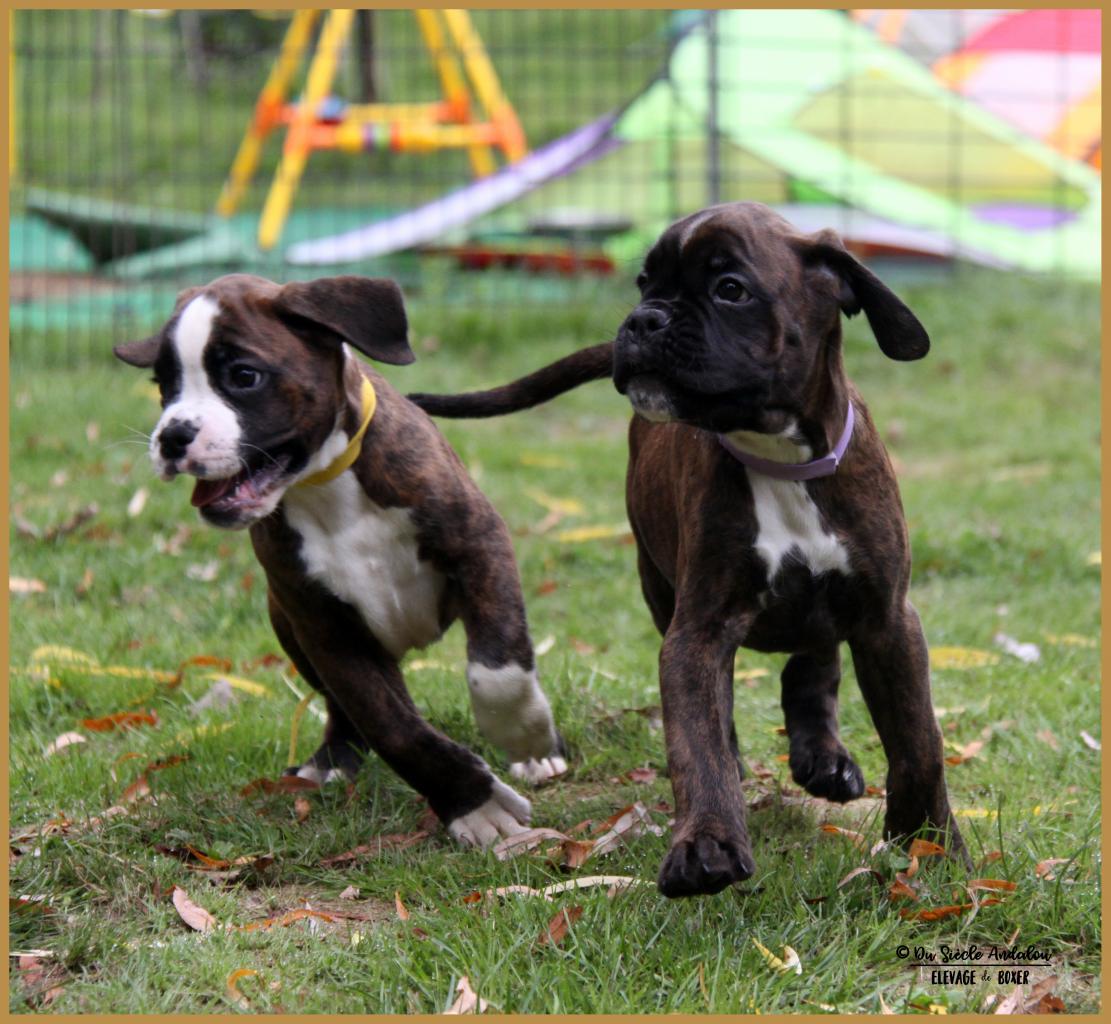 Nuts & Nero, 60 jours