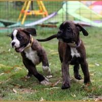 Nuts & Nero, 60 jours