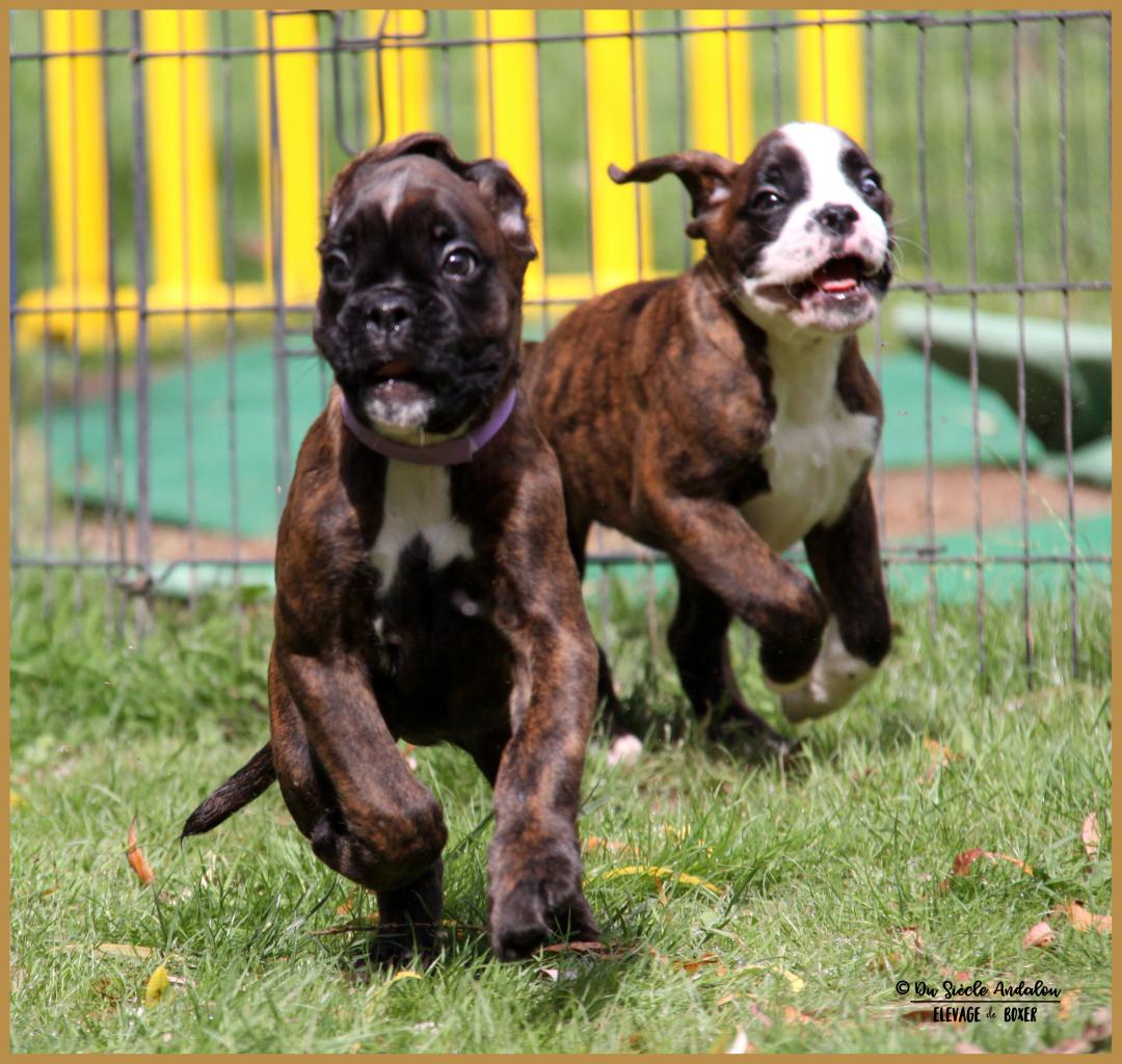 Nuts & Nero, 60 jours