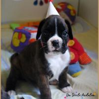 Olly, 30 jours 13.08.18 