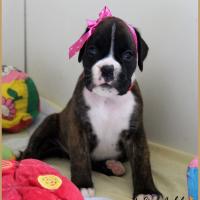 Olly, 30 jours 13.08.18 