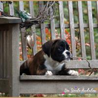 Olly 70 jours 23.09.18