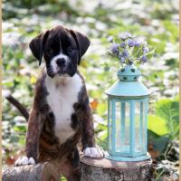 Olly 53 Jours 04.09.18 