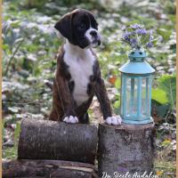 Olly 53 Jours 04.09.18 