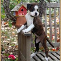 Om 69 Jours  23.09.18 