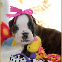 Om 29 jours 12.08.18