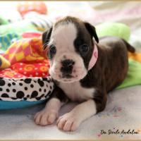 Om 29 jours 12.08.18 