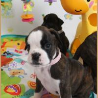 Om 38 jours 22.08.18 