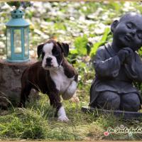 Om 52 Jours 04.09.18 