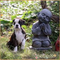 Om 52 Jours 04.09.18 