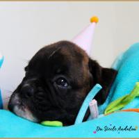 Oovea, 30 jours 13.08.18 