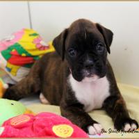 Oovea, 30 jours 13.08.18 