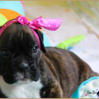 Oovea, 30 jours 13.08.18 