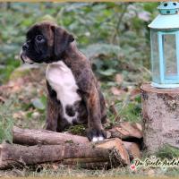 Oovea 53 Jours 04.09.18 