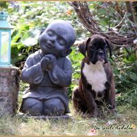 Oovea 53 Jours 04.09.18 