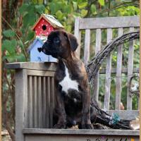 Orion 70 jours 23.09.18