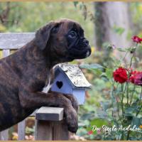 Orion 70 jours 23.09.18