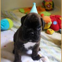 Orion, 30 jours 13.08.18 