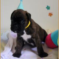 Orion, 30 jours 13.08.18 