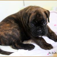 Orion, 30 jours 13.08.18