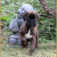 Orion 53 Jours 04.09.18 