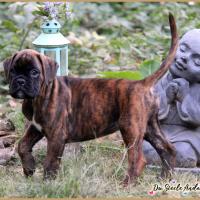 Orion 53 Jours 04.09.18 