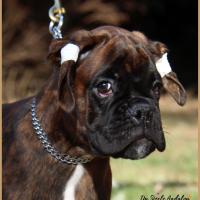 Orion 75 jours 27.09.18  