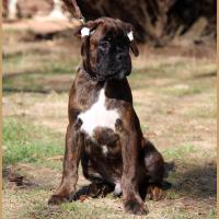 Orion 75 jours 27.09.18  