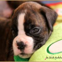 Oslo 1 mois 14.08.18 