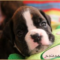 Oslo 1 mois 14.08.18 