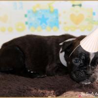 Oreo 1 mois 14.08.18