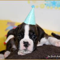 Oslo, 1 mois 14.08.18