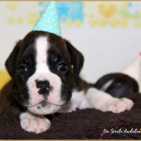 Oslo 1 mois 14.08.18 