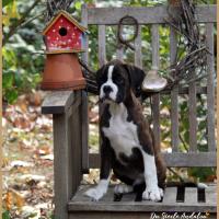 Oslo 69 Jours  23.09.18 