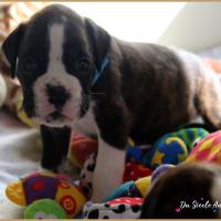 Oslo, 29 jours 12.08.18 