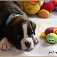 Oslo, 29 jours 12.08.18 