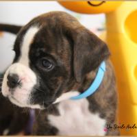 Oslo 38 jours 22.08.18 