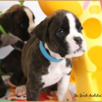 Oslo 38 jours 22.08.18 