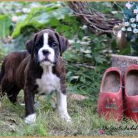 Oslo 52 Jours 04.09.18