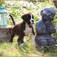 Oslo 52 Jours 04.09.18