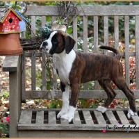 Otis 69 Jours  23.09.18 