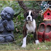 Otis 52 Jours 04.09.18