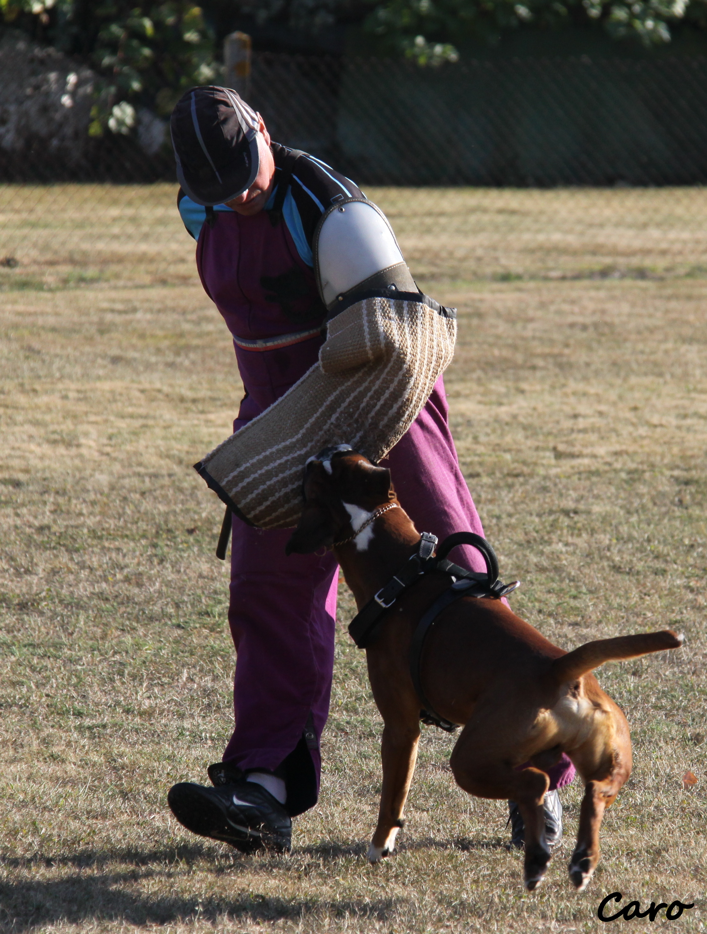 Photo Preparation de Chelton