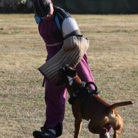 Photo Preparation de Chelton