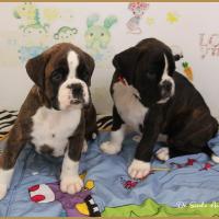 Renzo & Rita 51 jours