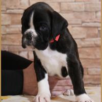 Rita 44 j 06 12 20 7912