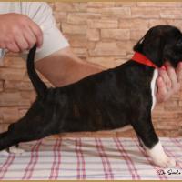 Rita 44 j 06 12 20 7992